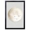 12" x 16" Happy Little Moon I Framed Wall Art, Contemporary Home Décor for Baby or Child's Room, Glass Facing and Hanging Hardware Included
